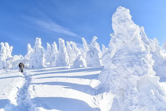 Ani Snow Monsters