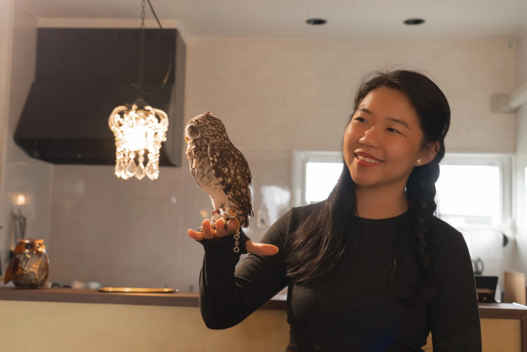 Owl Café