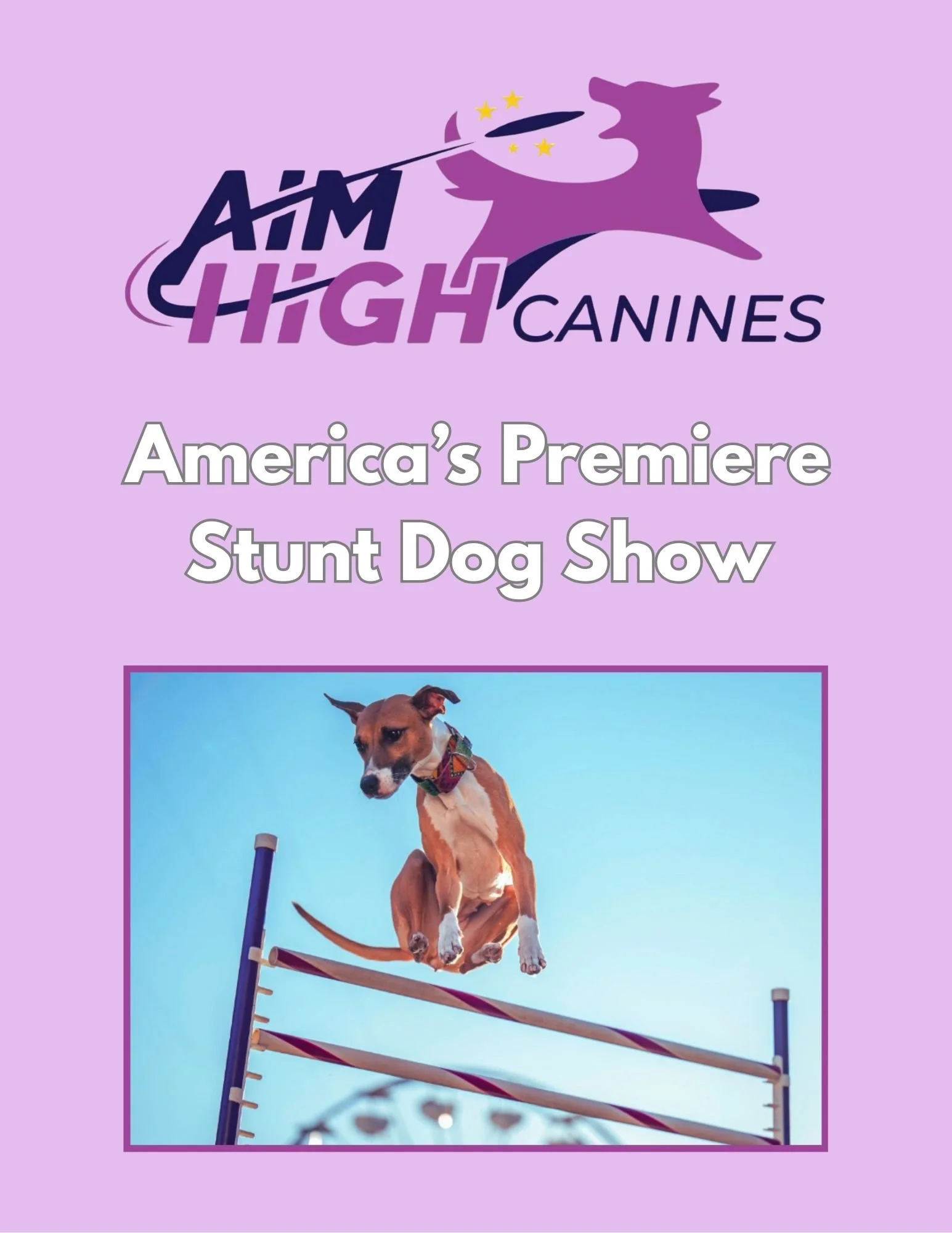 Aim High Canines performing