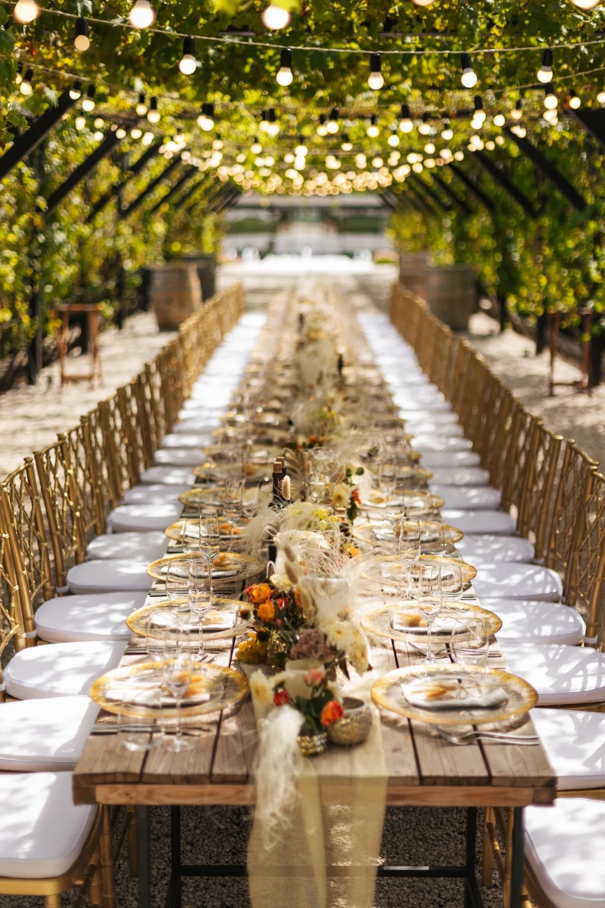 Dance floor and party lighting