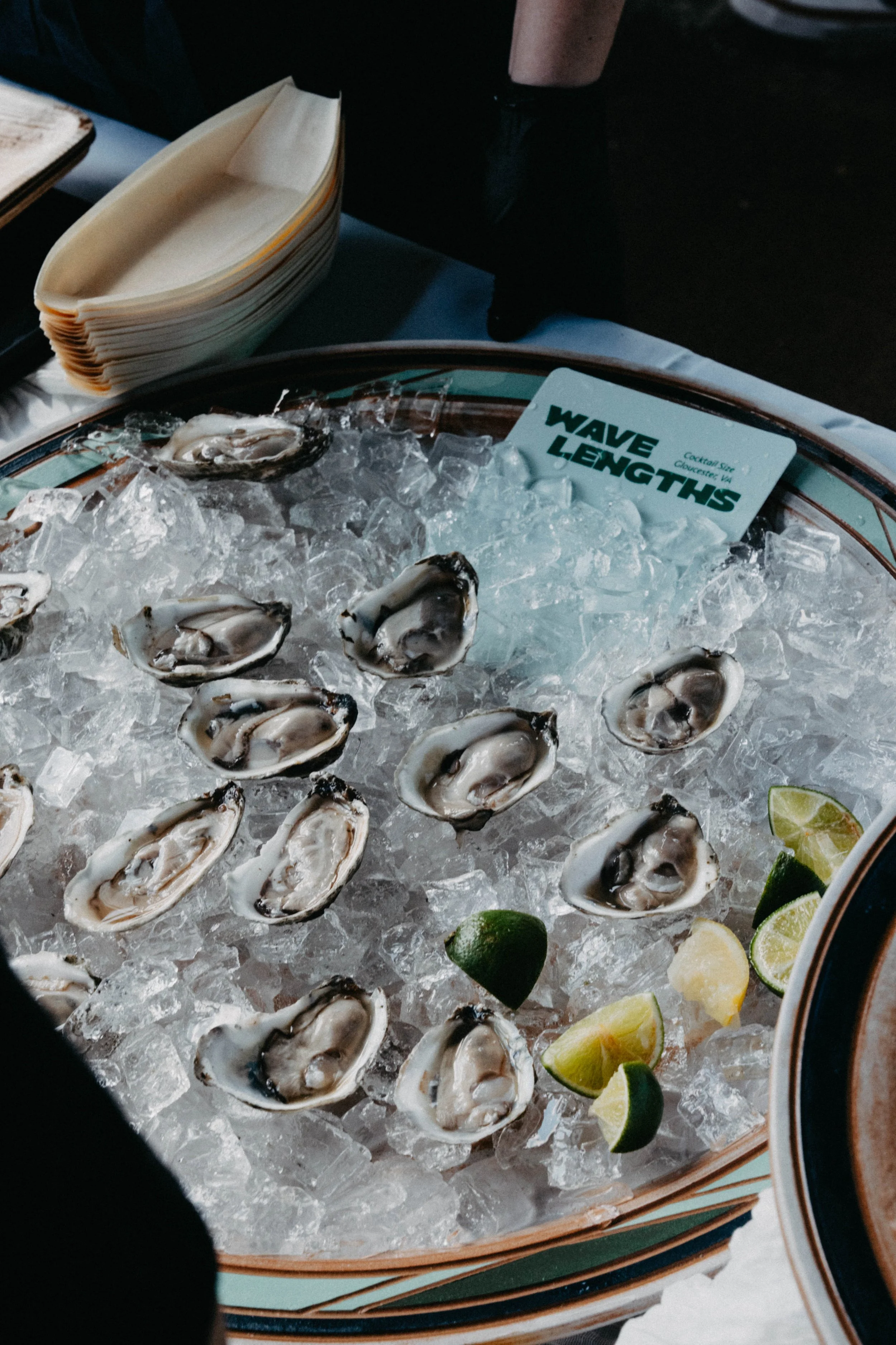 Oysters