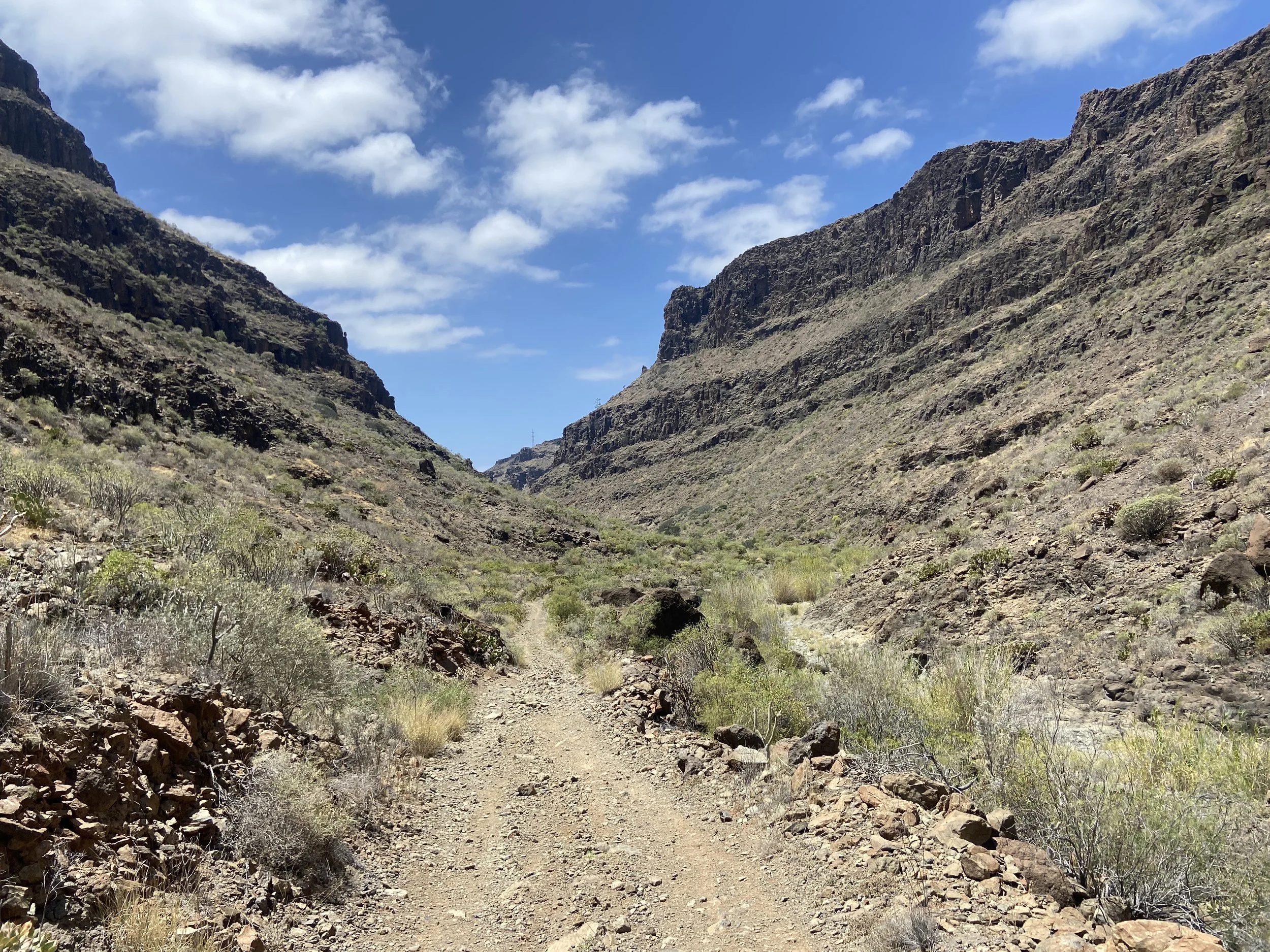 Pilancones Natural Park Gran Canaria