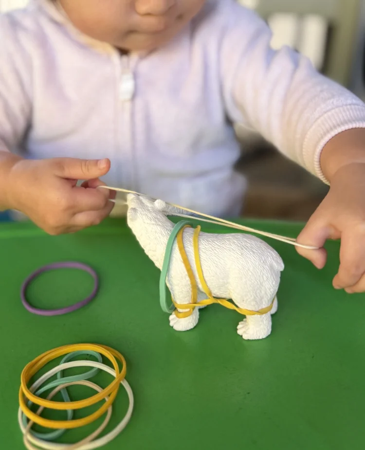 A toddler stretching colorful bands around a toy animal