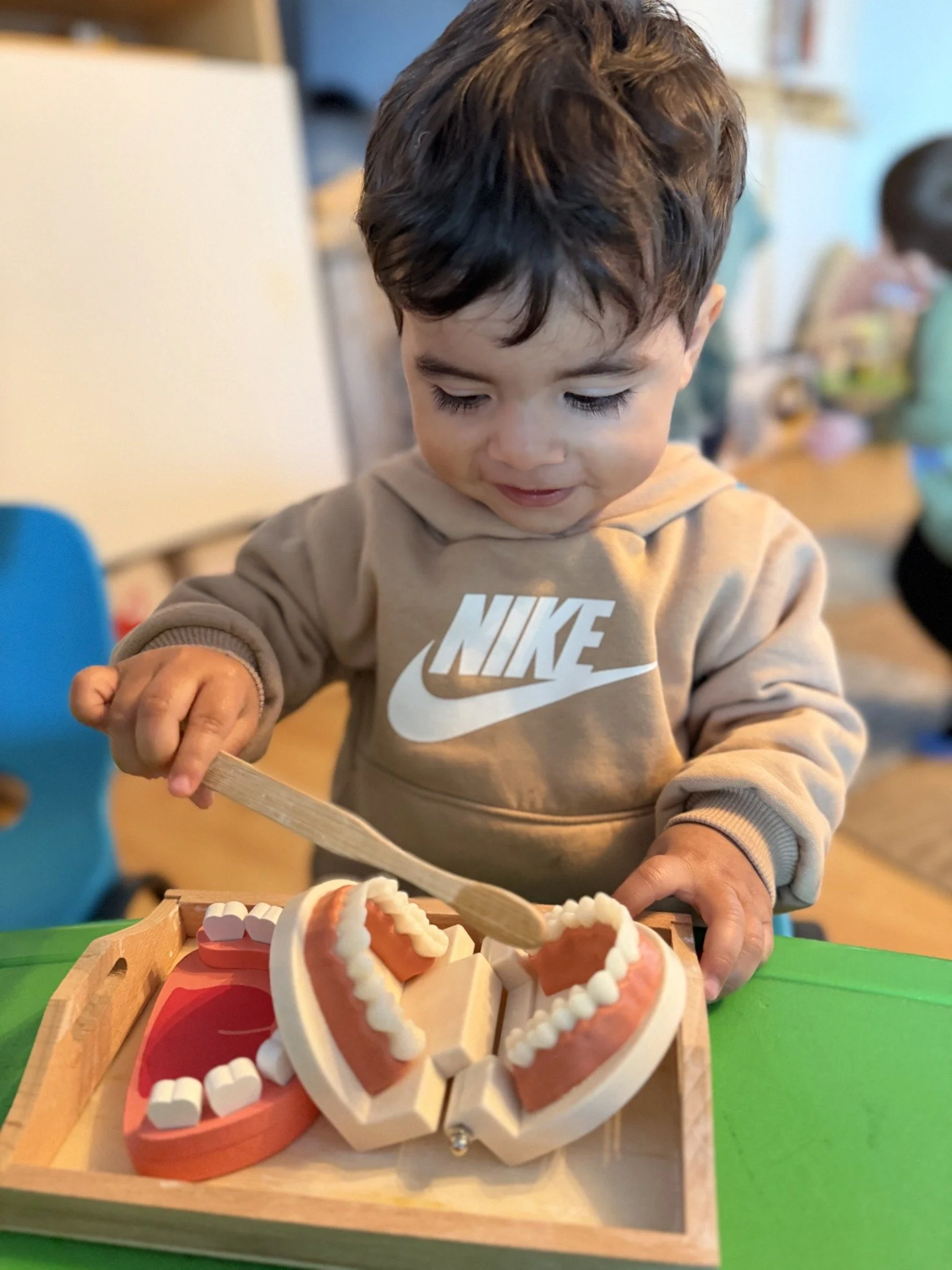 A child exploring a model of teeth with a wooden brush