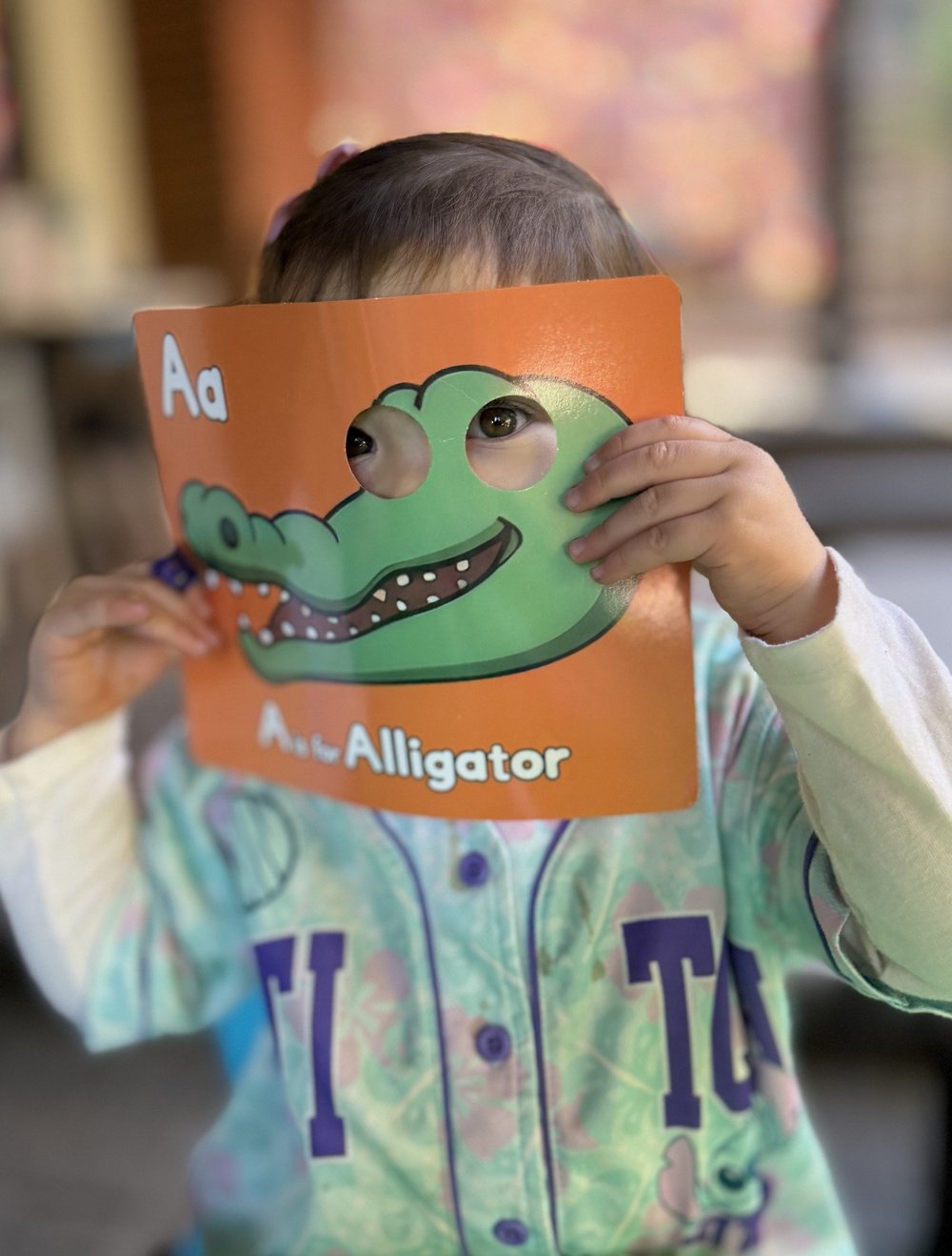 A child playing peekaboo with an illustrated alphabet book