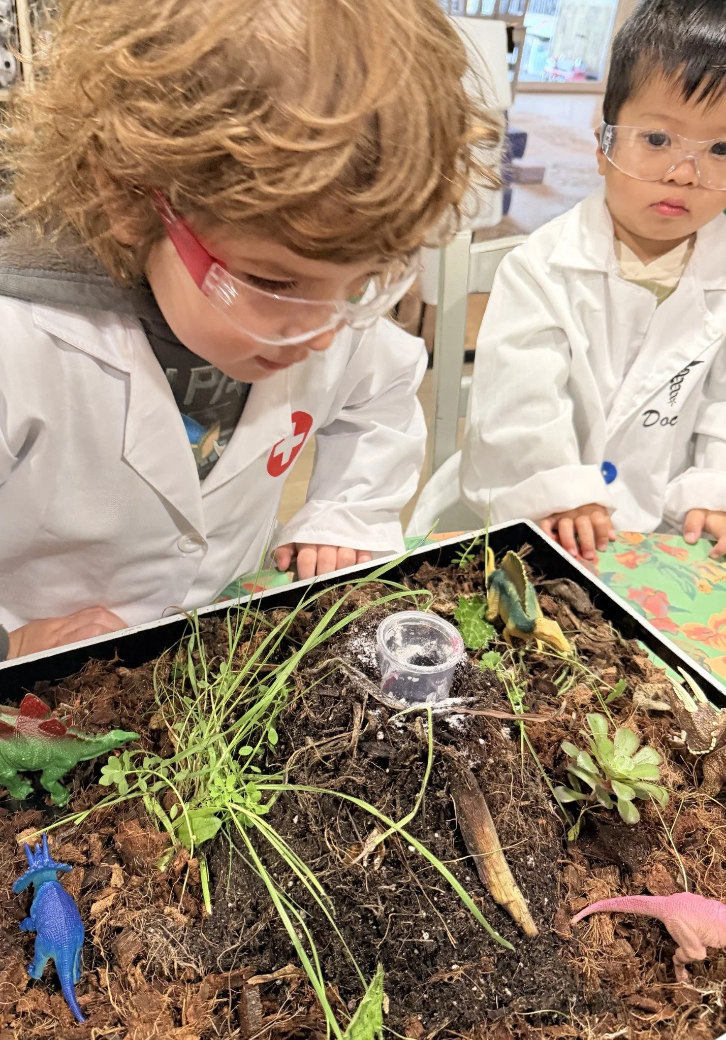 A child using a magnifying glass to examine plants and soil in a nature tray