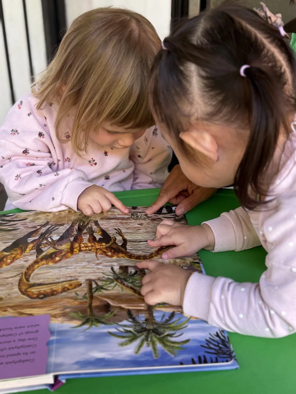 Two children discovering the pictures in a book together