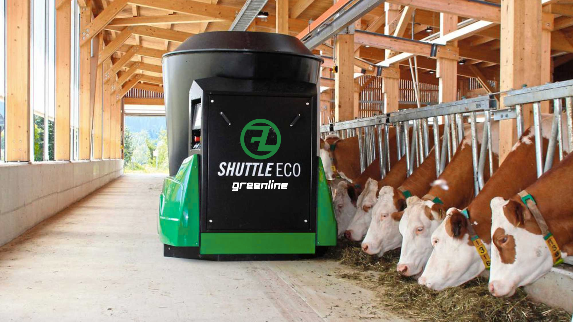 A Greenline system delivering feed along the bunk to cattle on feed.