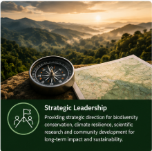 Strategic Leadership