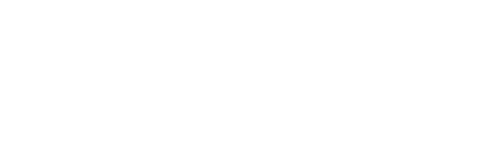 S.O.U.L. Fest — Screening Our Unseen Lives