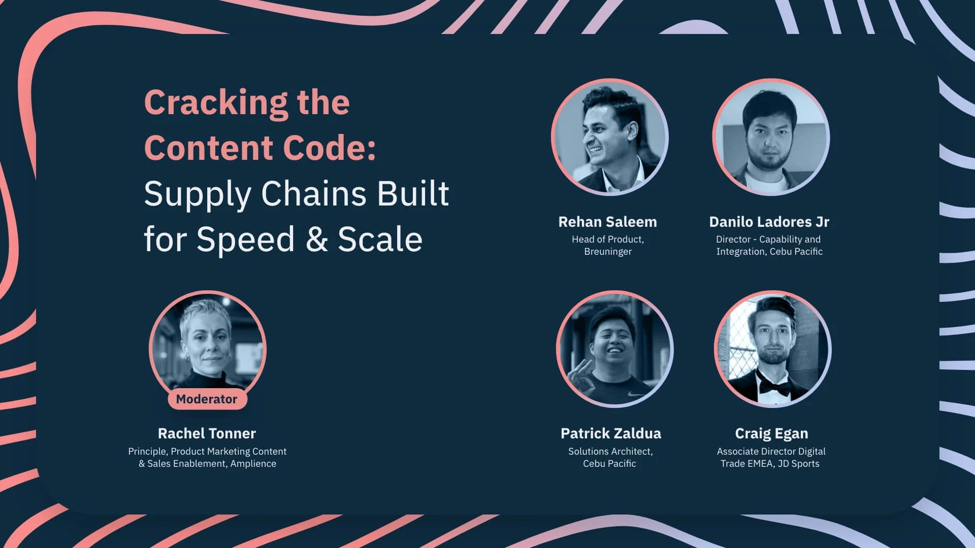 Amplify25 panel slide