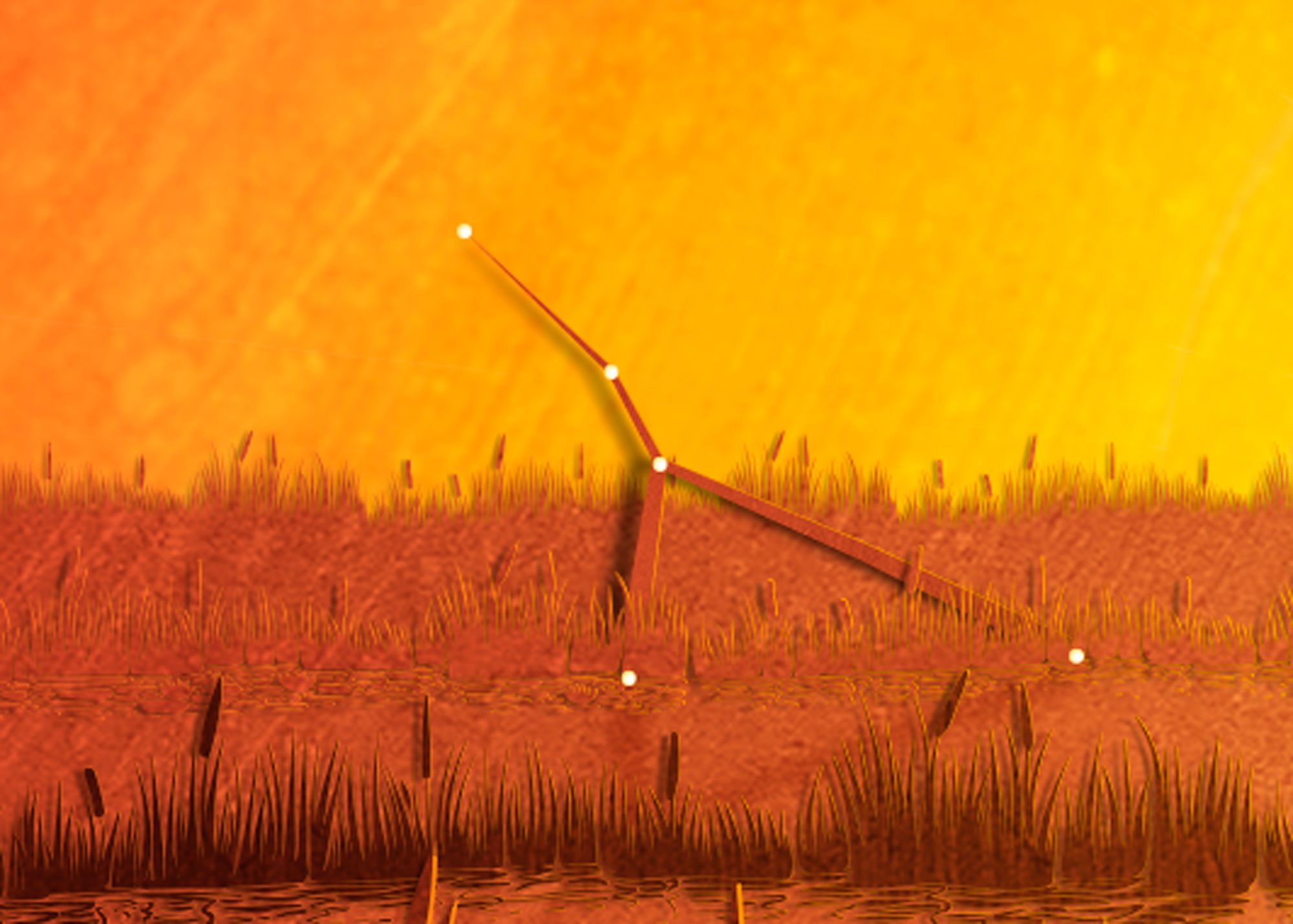 Constellation Cancer