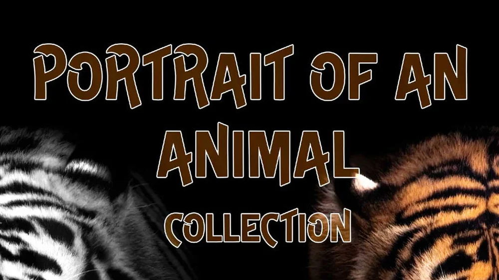 Portrait of an Animal