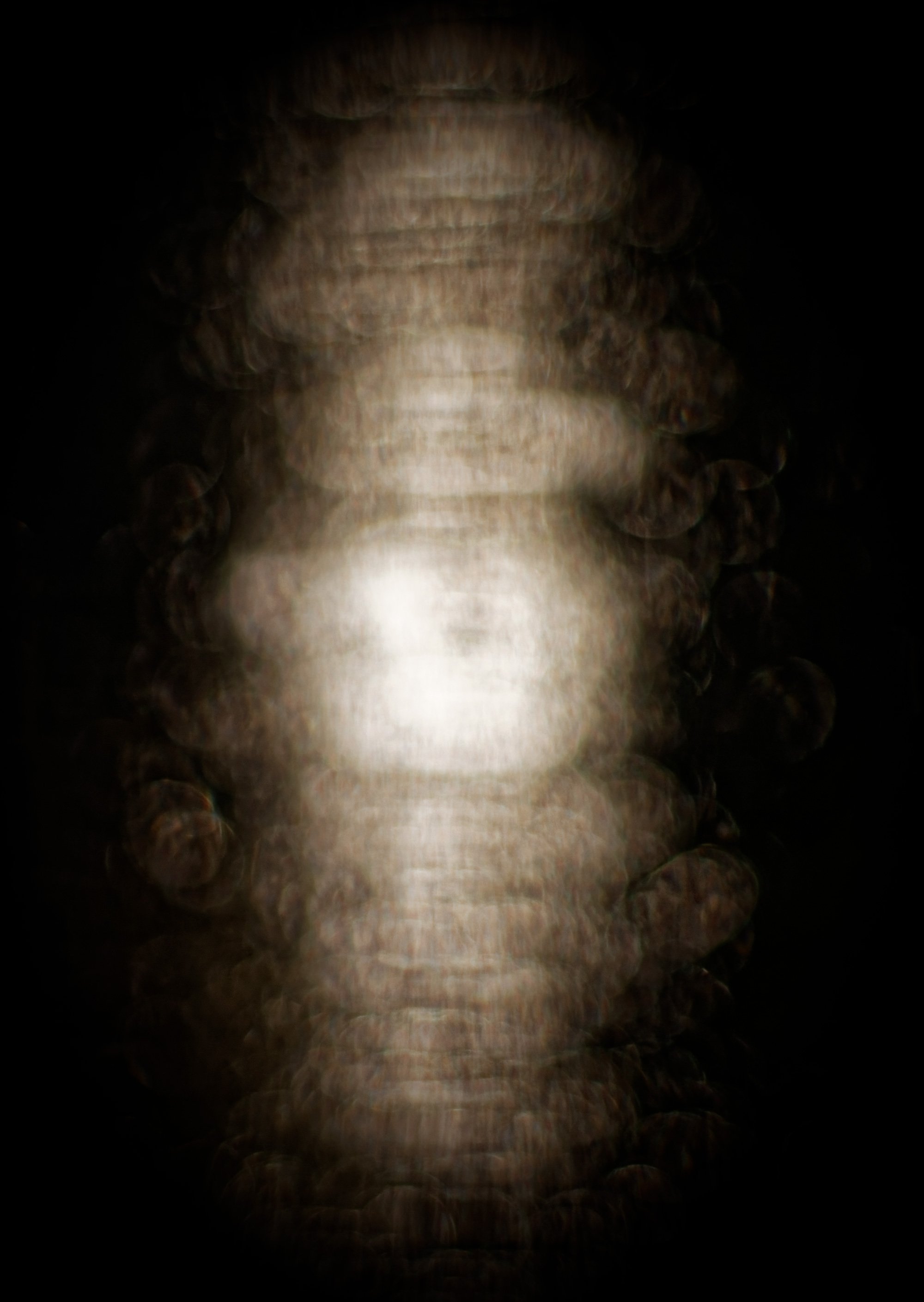 Cocoon Fine Art Print