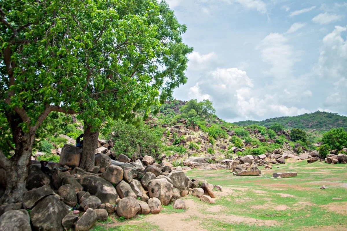 Rocky landscape with trees and hills: teaching edit showing stronger separation in nearby light and dark textures