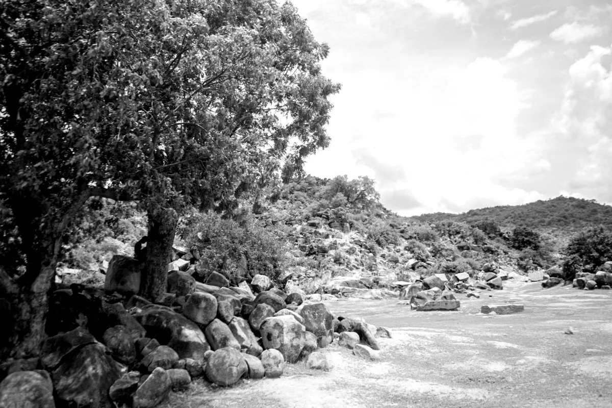 Rocky landscape with trees and hills: teaching edit showing strong black-and-white contrast with some lost highlight and shadow detail