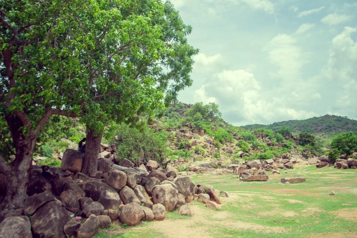 Rocky landscape with trees and hills: teaching edit showing stylized channel-dependent color casts