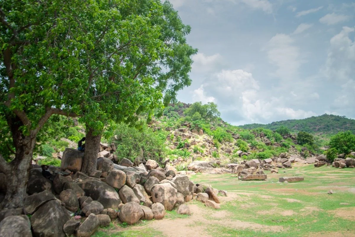 Rocky landscape with trees and hills: teaching edit showing lightened central rocks and a darkened upper sky