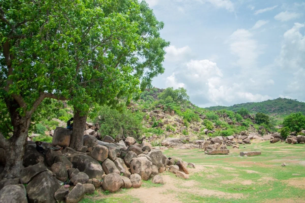 Rocky landscape with trees and hills: published-source baseline, resized for this guide