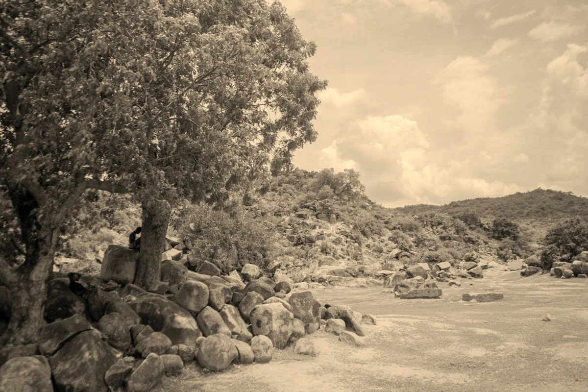Rocky landscape with trees and hills: teaching edit showing warm brown monochrome tones