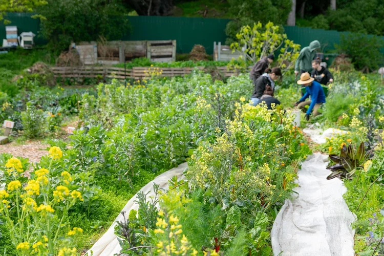 Group of people gardening at the farm