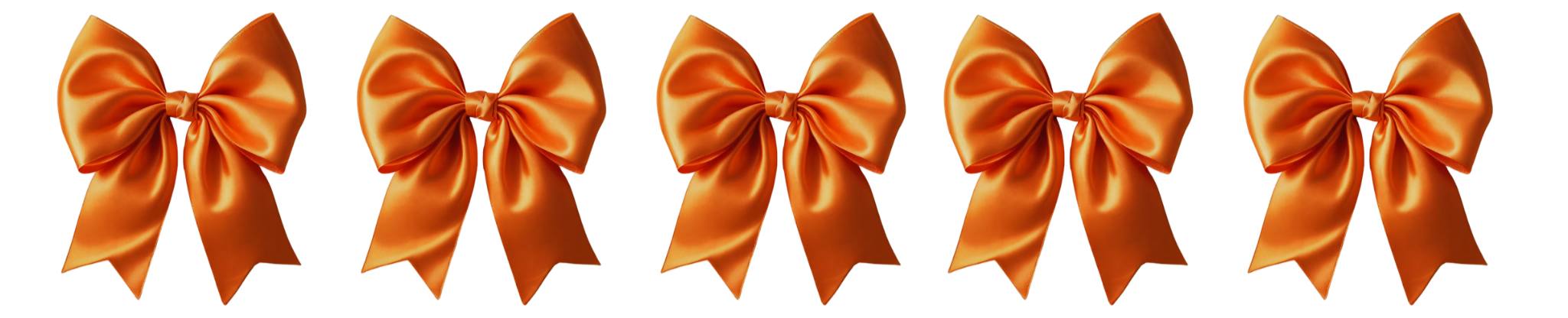Five Orange Bows Border