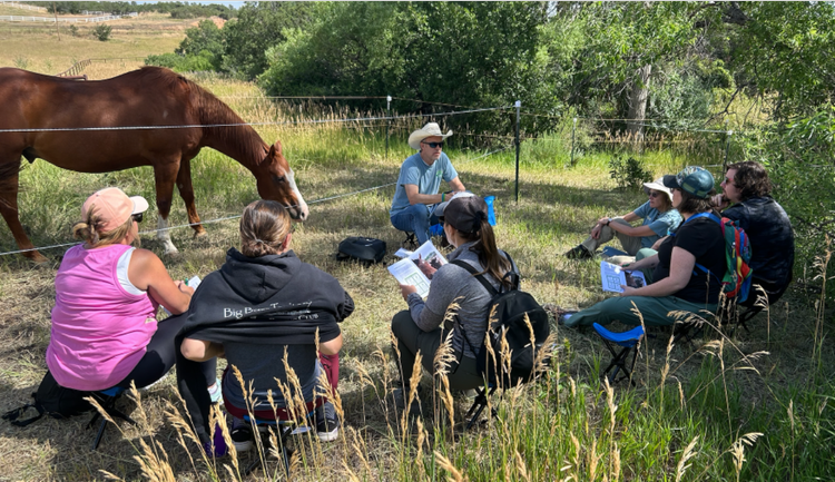 group of teen advisory board meeting at Happy Dog Ranch