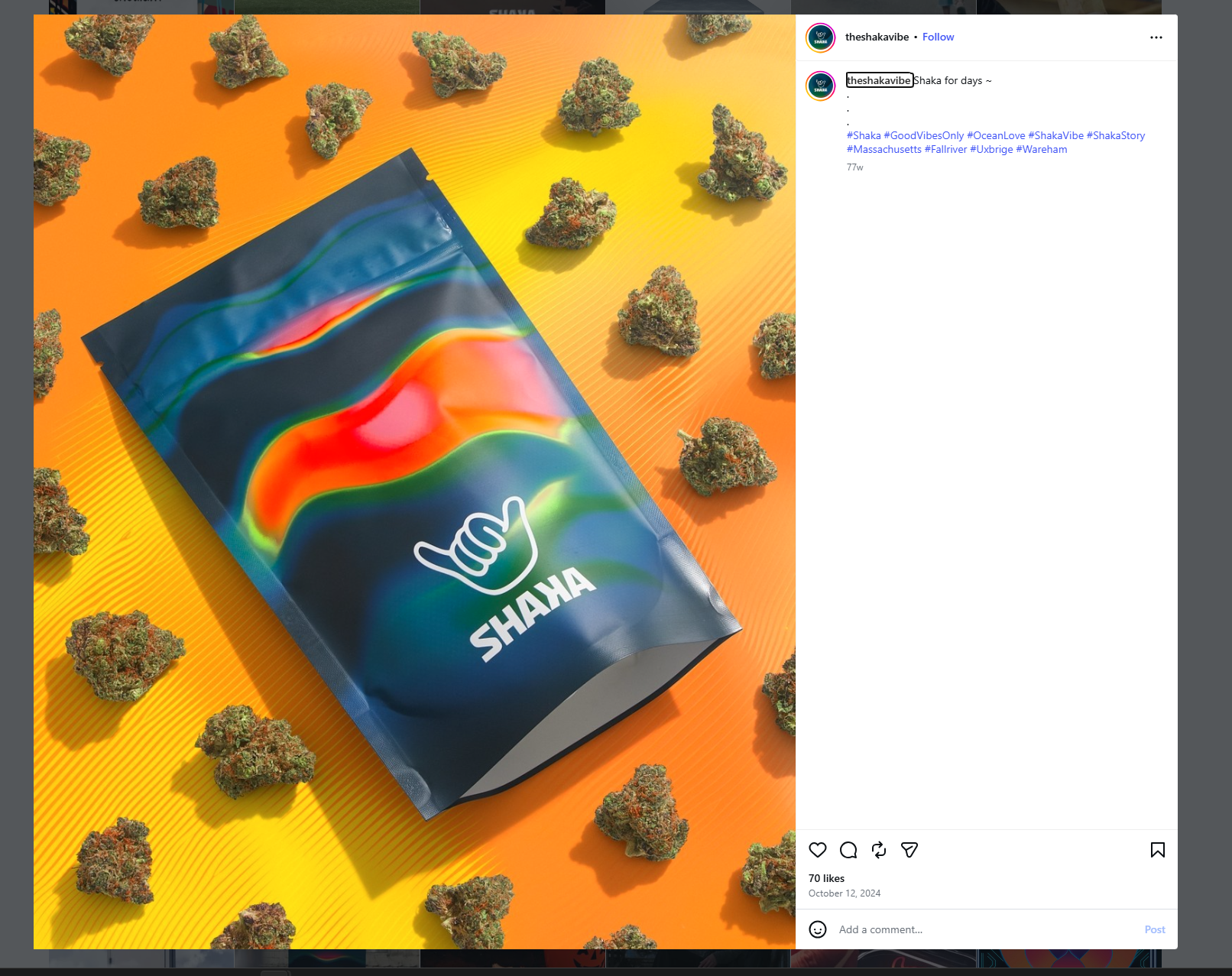Lit Studio Results | Visuals That Increase Revenue — LIT STUDIO