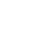 Perplexity
