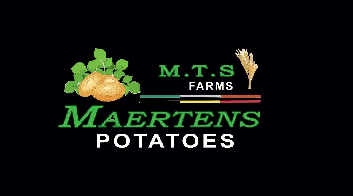 MTS Maertens Potatoes