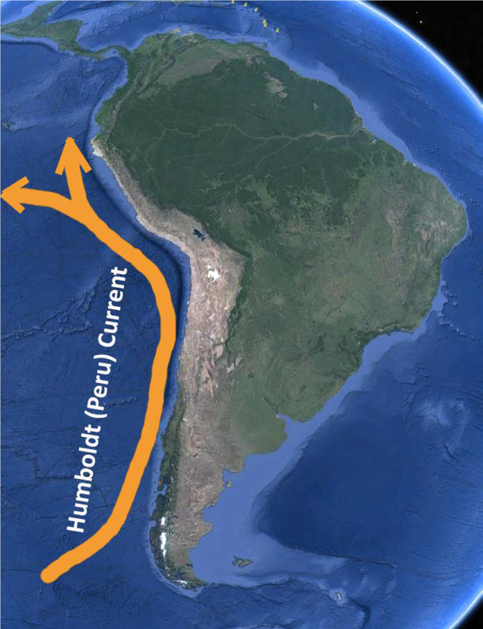 Перуанско-чилийский жёлоб. Перуанский желоб на карте. Перуано чилийский желоб.