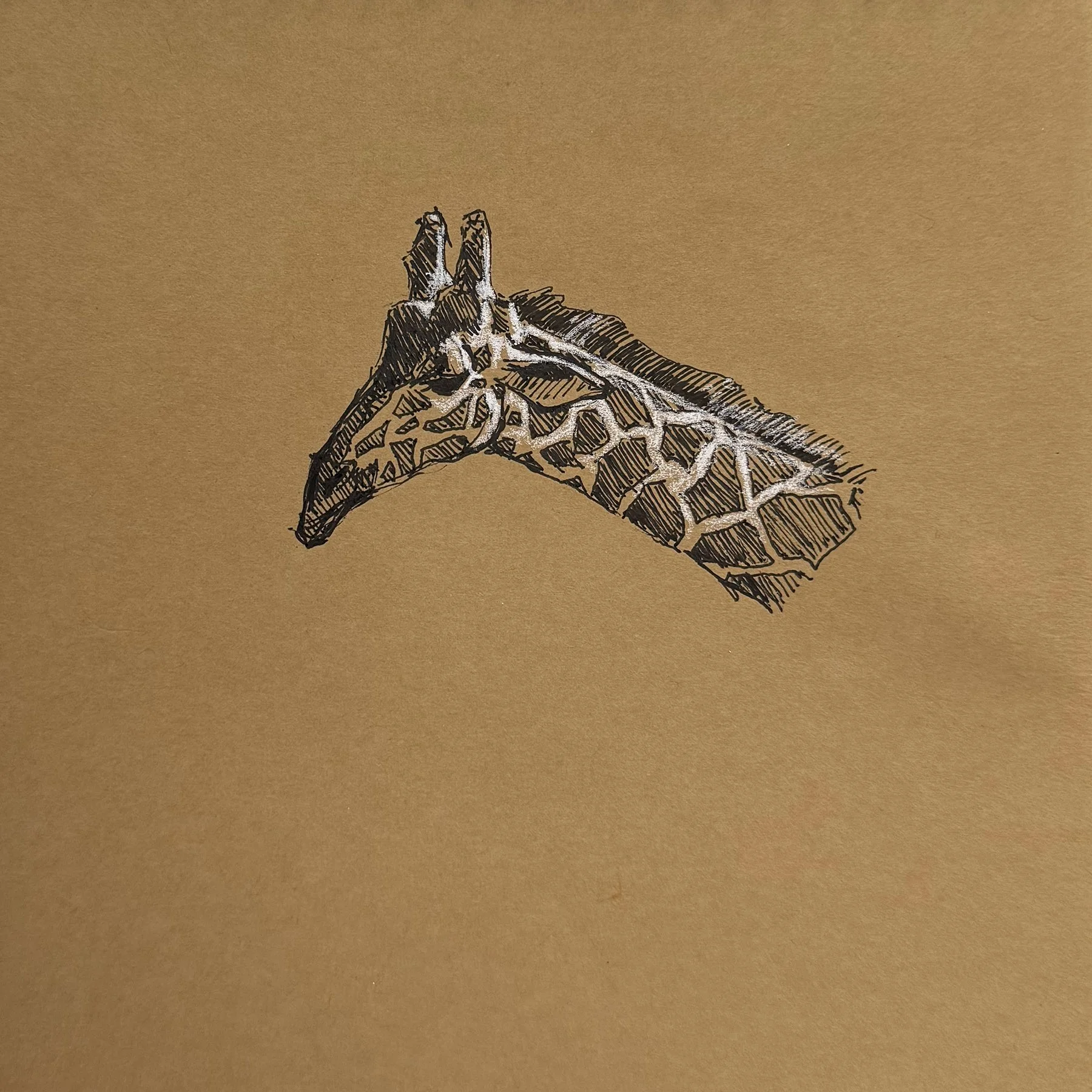 Kraft Brown paper
