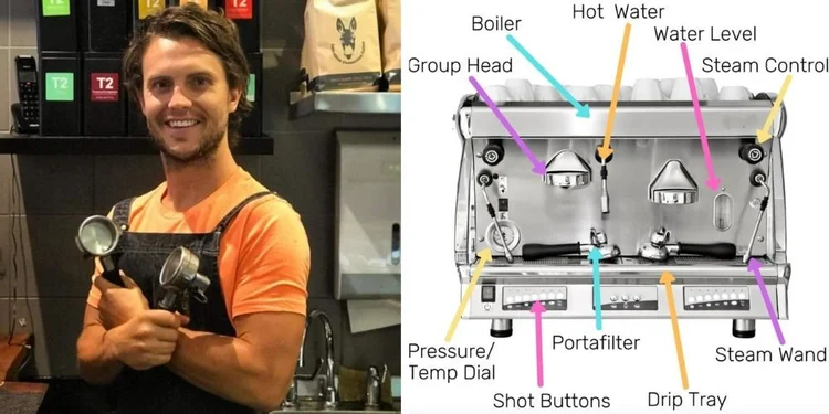 sage coffee grinders