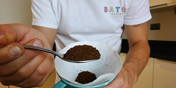 sage coffee grinders