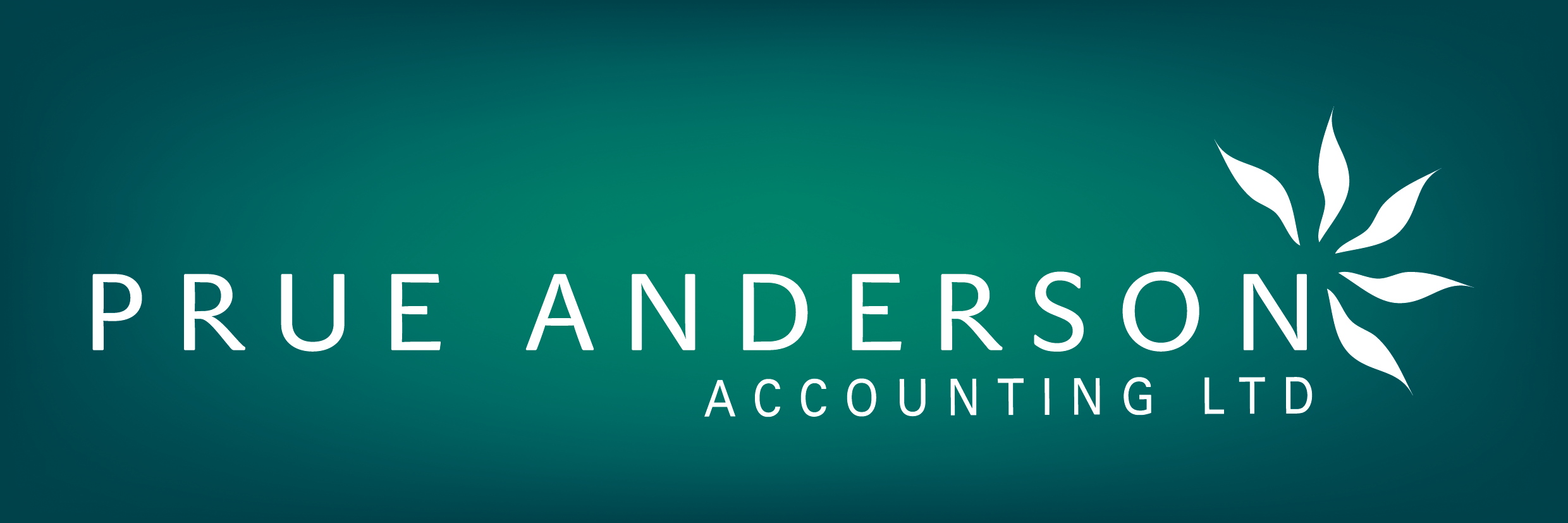 Prue Anderson Accounting