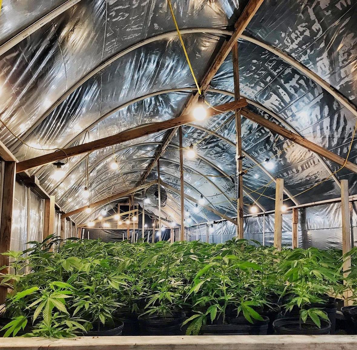 Humboldt Weed Farm