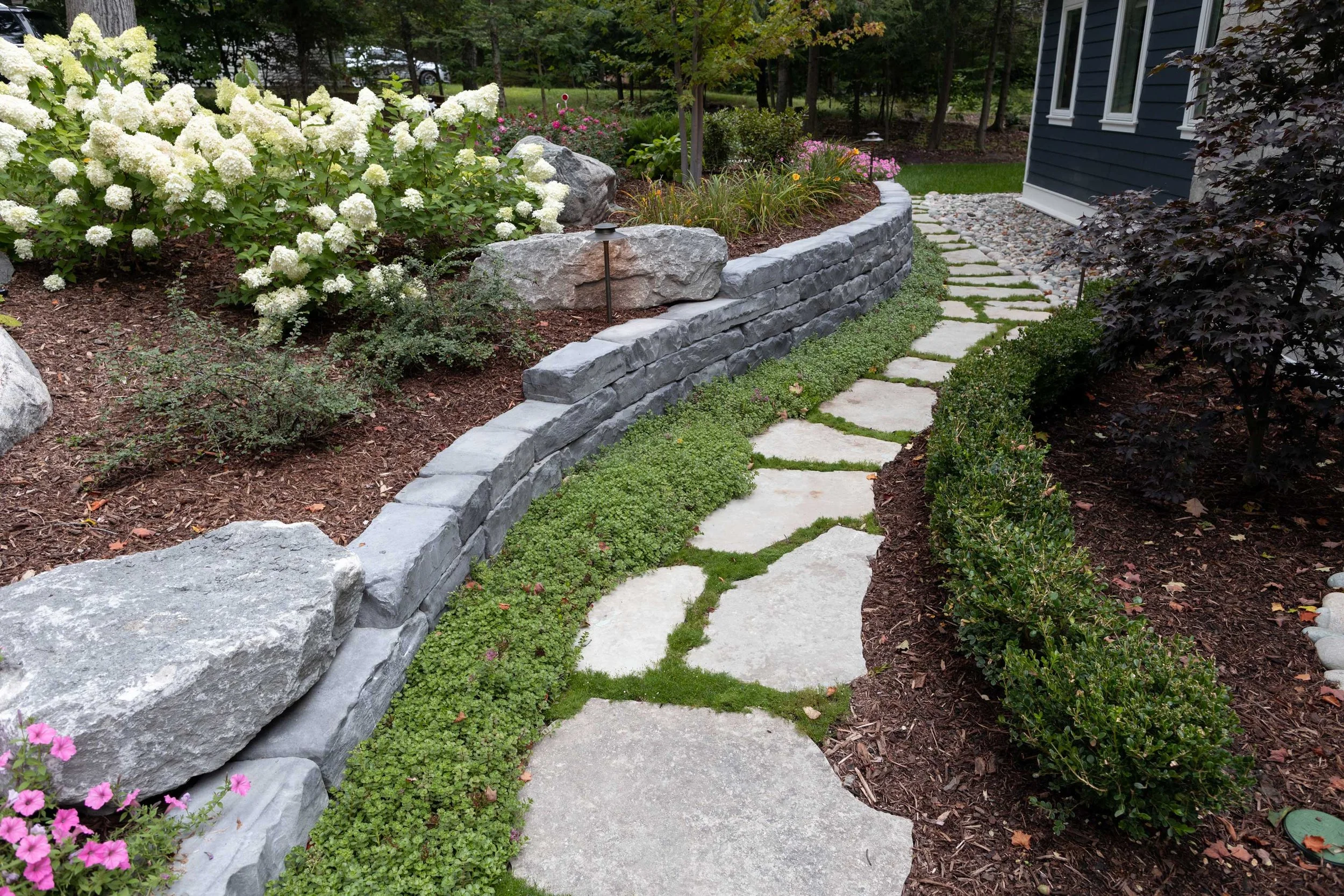 Grand Ledge garden wall along a winding stone path with hydrangeas, ground cover, and landscape plantings