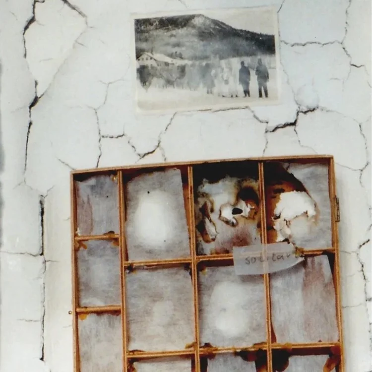 "Was machen?!" in einem lila Stern vor rosa Hintergrund.