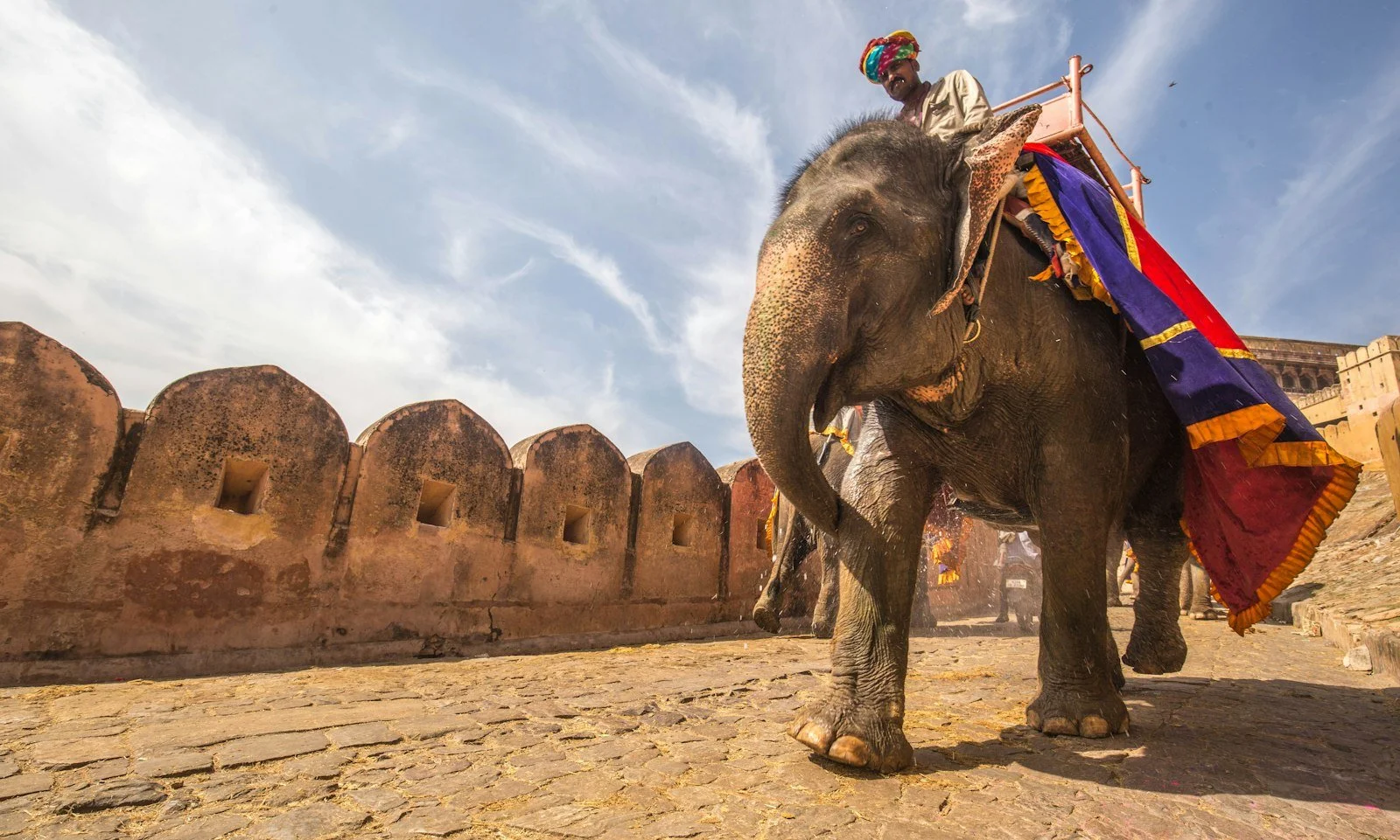 A decorated elephant at Amber Fort