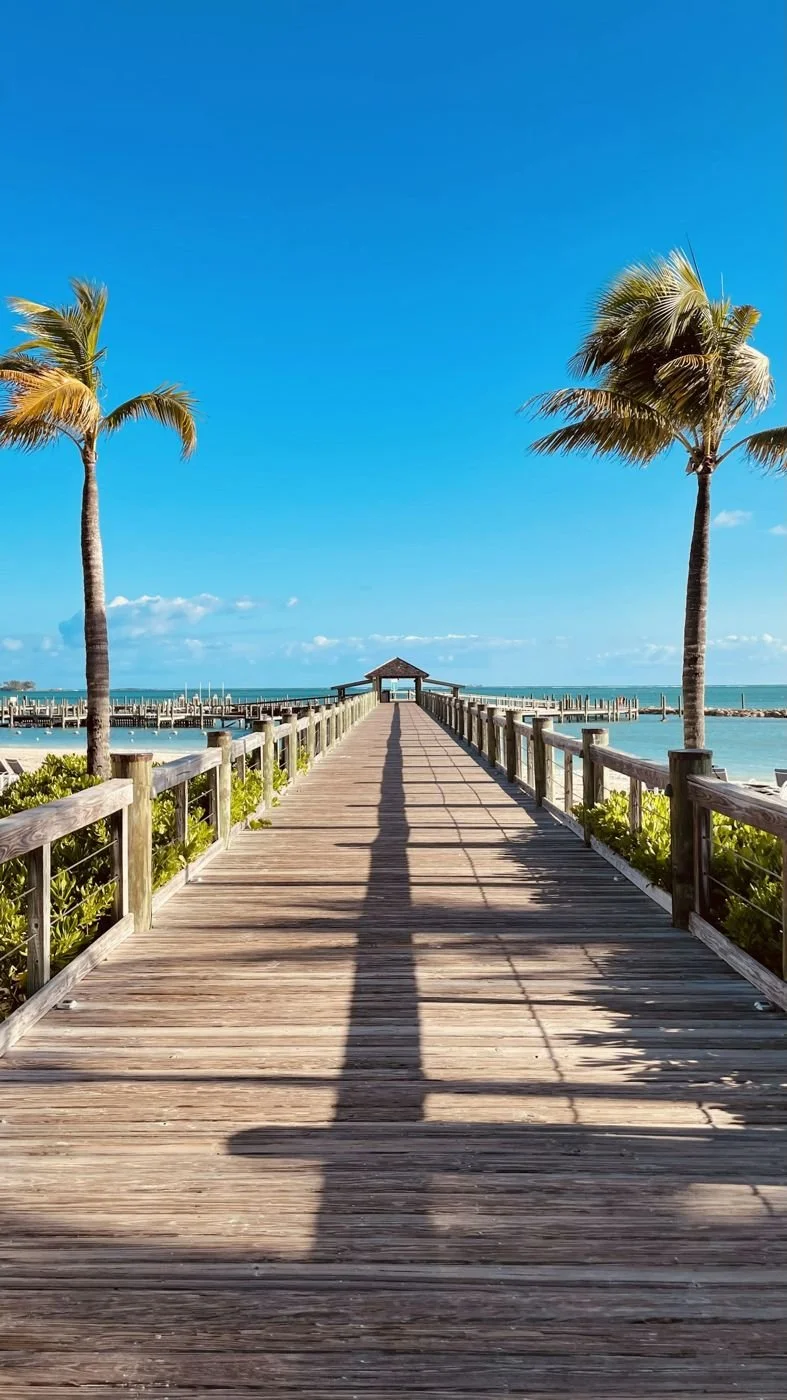 Caribbean & Bahamas