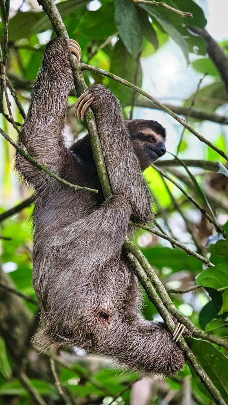 Costa Rica
