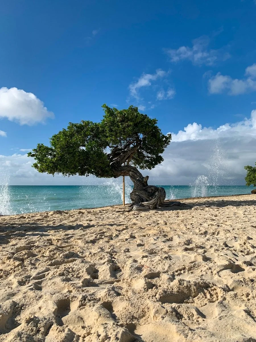 Aruba