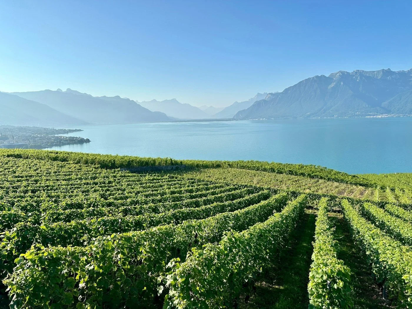 Lucerne & Montreux