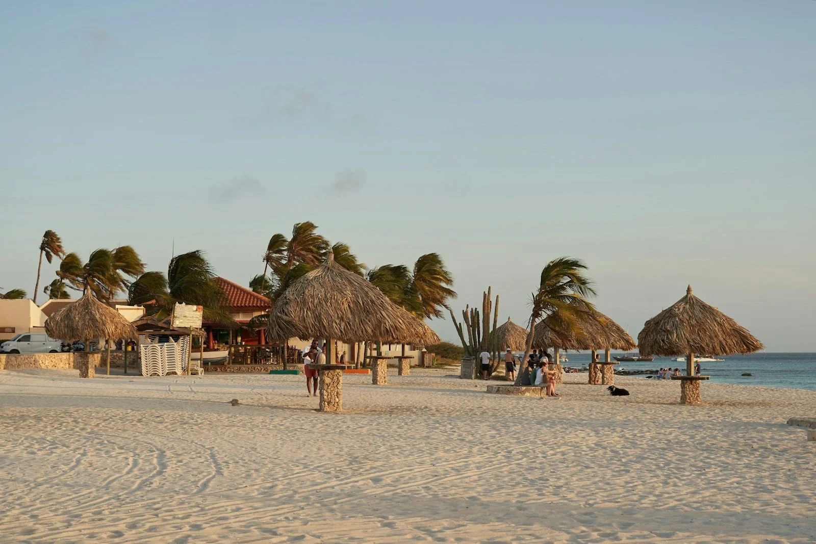 Thatched palapa umbrellas on a quiet Aruba beach