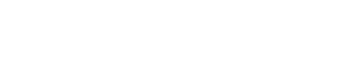 Invest DSM