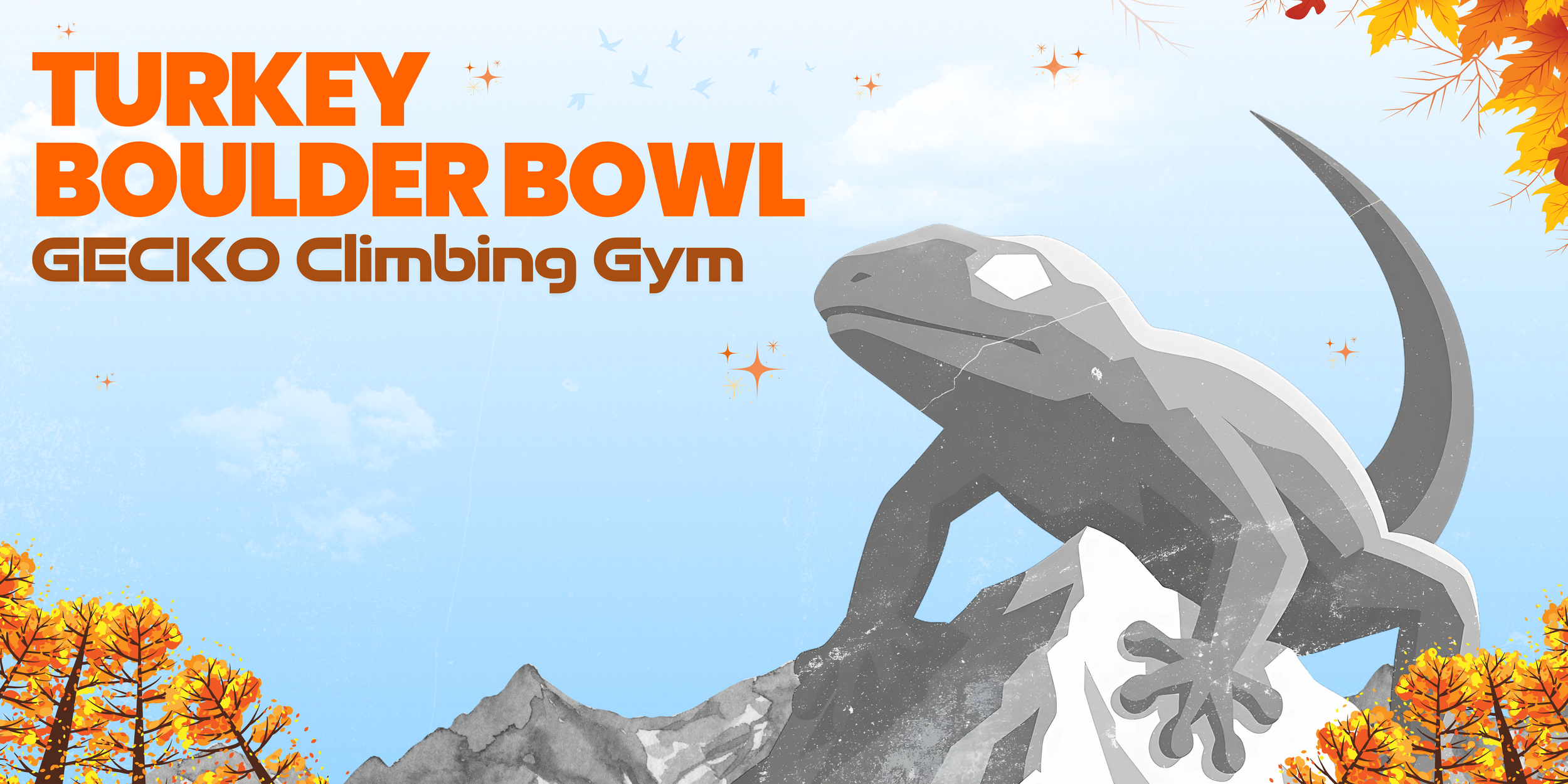 Turkey Boulder Bowl at Gecko Climbing Gym