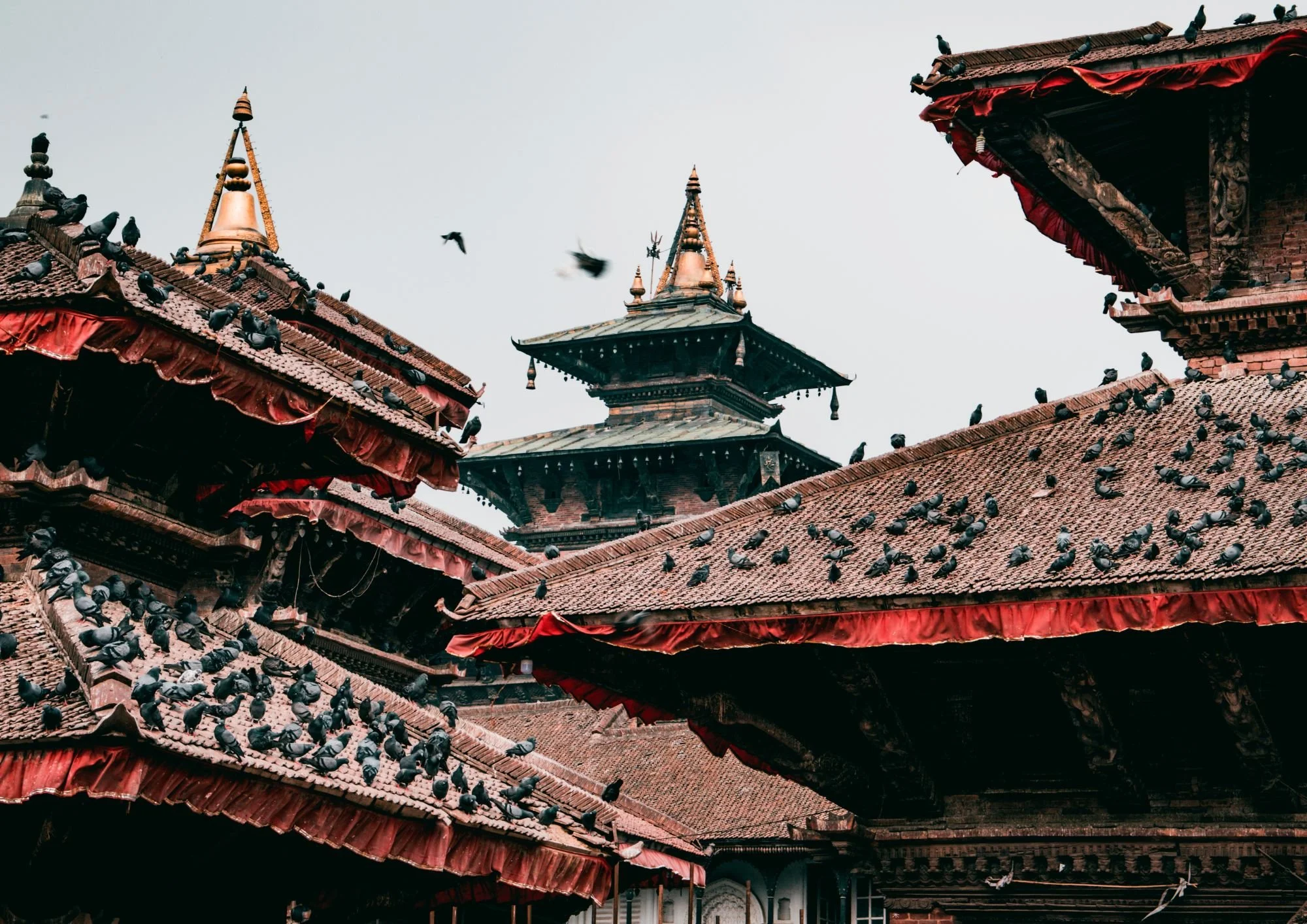 Kathmandu arrival