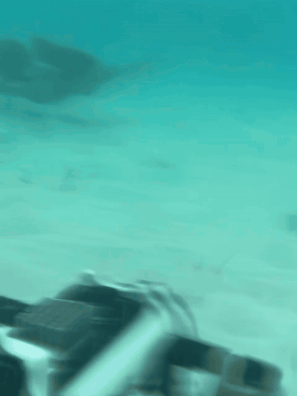 Swimmer gliding past underwater, with a camera water housing in the foreground
