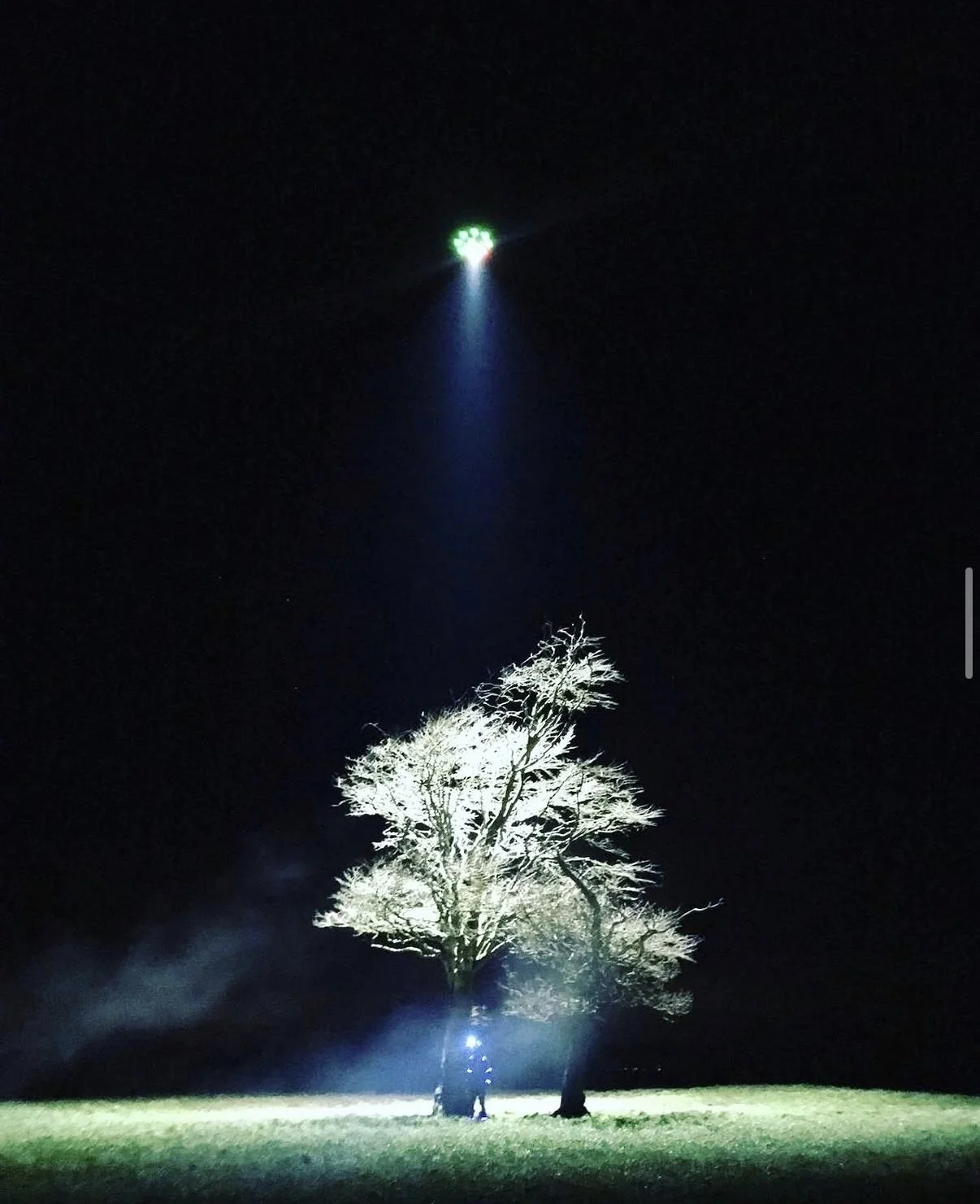 Drone light beam lighting a lone tree and a figure in a field at night