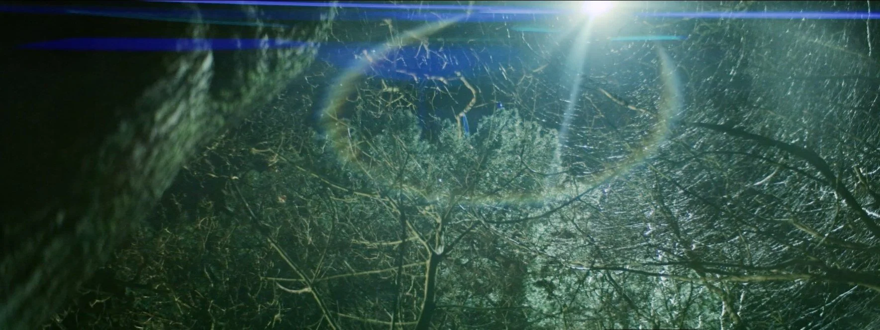 Drone light shining down through trees at night as an on-screen searchlight